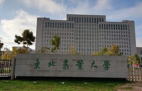 東北農業(yè)大學網絡教育學院