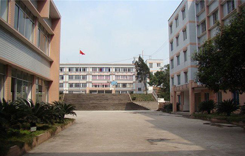 大足縣金山鎮(zhèn)世紀星學(xué)校