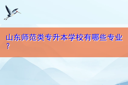 山東師范類專升本學校有哪些專業(yè)？