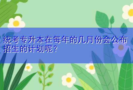 統(tǒng)考專升本在每年的幾月份會公布招生的計劃呢？