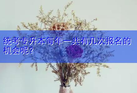 統(tǒng)考專升本每年一共有幾次報名的機會呢？