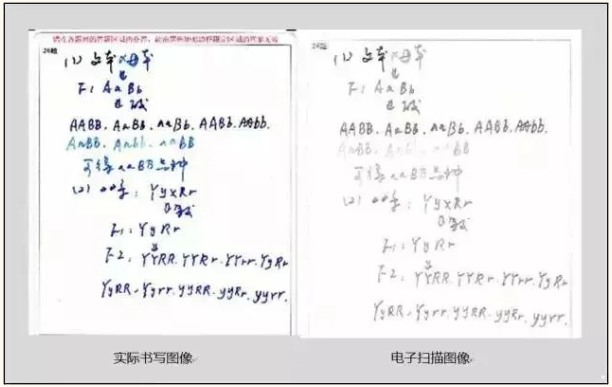 專升本考試答題中常見的錯(cuò)誤及應(yīng)對(duì)措施