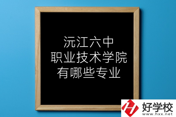 湖南沅江六中職業(yè)技術(shù)學(xué)院有哪些專業(yè)？