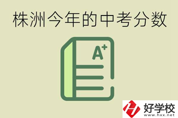 株洲今年中考多少分能上高中？沒(méi)考上有什么選擇？