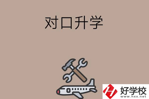 職高學(xué)生參加湖南省對口升學(xué)，有什么本科可以報(bào)考？