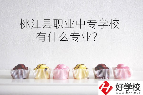 桃江縣職業(yè)中專學(xué)校到底好不好？有什么專業(yè)？