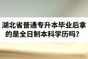 湖北省普通專升本畢業(yè)后拿的是全日制本科學(xué)歷嗎？