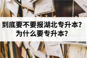 到底要不要報湖北專升本？為什么要專升本？