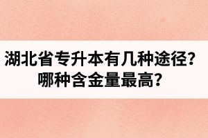 湖北省專(zhuān)升本有幾種途徑？哪種含金量最高？