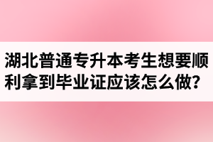 湖北普通專升本考生想要順利拿到畢業(yè)證應(yīng)該怎么做？