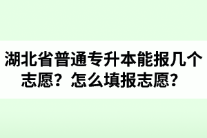 湖北省普通專(zhuān)升本能報(bào)幾個(gè)志愿？怎么填報(bào)志愿？