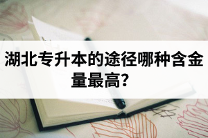 湖北普通專升本英譯漢段落翻譯分析應(yīng)該怎么做？