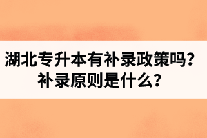 湖北專升本有補(bǔ)錄政策嗎？補(bǔ)錄原則是什么？