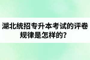 湖北統(tǒng)招專升本考試的評(píng)卷規(guī)律是怎樣的？怎么避免丟失細(xì)節(jié)分？