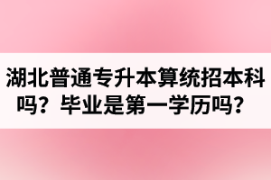 湖北普通專升本算統(tǒng)招本科嗎？專升本學歷是第一學歷嗎？