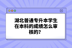 湖北普通專升本學生在本科的成績怎么審核的？