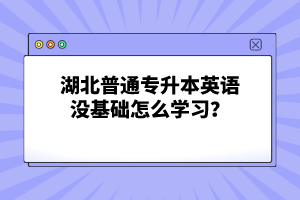 湖北普通專升本英語(yǔ)沒(méi)基礎(chǔ)怎么學(xué)習(xí)？