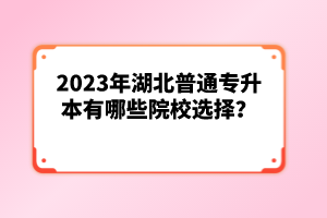 2023年湖北普通專升本有哪些院校選擇？