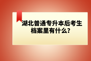 湖北普通專升本后考生檔案里有什么？