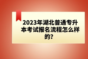 2023年湖北普通專升本考試報名流程怎么樣的？