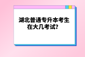 湖北普通專升本考生在大幾考試？