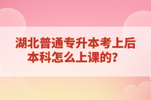 湖北普通專升本考上后本科怎么上課的？