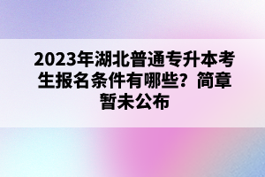 2023年湖北普通專升本考生報名條件有哪些？簡章暫未公布