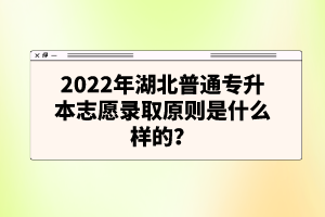 2022年湖北普通專升本志愿錄取原則是什么樣的？