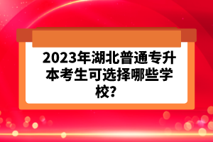 2023年湖北普通專升本考生可選擇哪些學(xué)校？