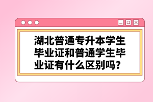 湖北普通專升本學(xué)生畢業(yè)證和普通學(xué)生畢業(yè)證有什么區(qū)別嗎？