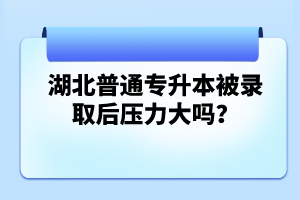 湖北普通專升本被錄取后壓力大嗎？