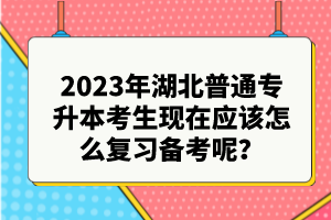 2023年湖北普通專(zhuān)升本考生現(xiàn)在應(yīng)該怎么復(fù)習(xí)備考呢？