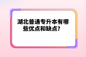 湖北普通專(zhuān)升本有哪些優(yōu)點(diǎn)和缺點(diǎn)？