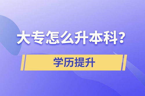 大專怎么升本科？