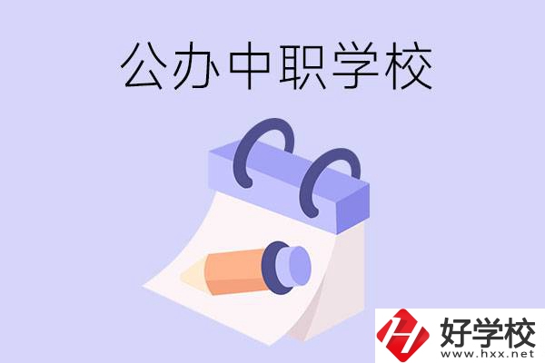 湖南公辦中職學(xué)校有哪些辦學(xué)規(guī)模比較大的？