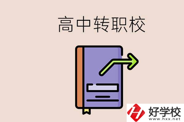 有在讀高中不想讀轉(zhuǎn)職校的例子嗎？能轉(zhuǎn)到湖南職校嗎？