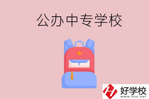 婁底有什么公辦中專學校？教學怎么樣？