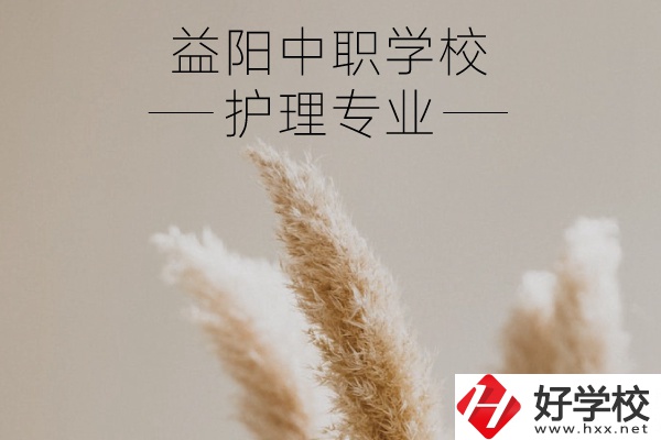 益陽護(hù)理專業(yè)的中職學(xué)校有哪些？需要哪些要求？