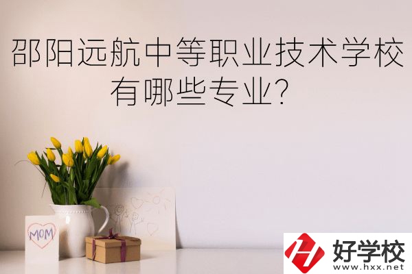 邵陽遠航中等職業(yè)技術(shù)學(xué)校有哪些專業(yè)？