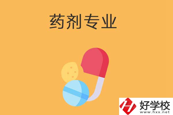 衡陽市有開設(shè)藥劑專業(yè)的中專學(xué)校嗎？招生人數(shù)多嗎？