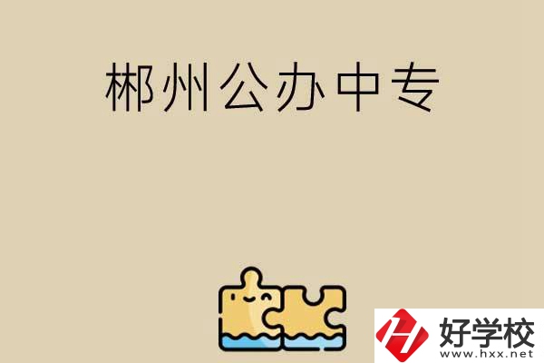 郴州公辦中專有哪些開設(shè)了電子商務(wù)專業(yè)？