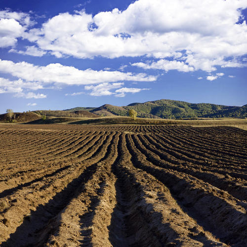 農(nóng)村土地糾紛調(diào)解專業(yè)就業(yè)前景