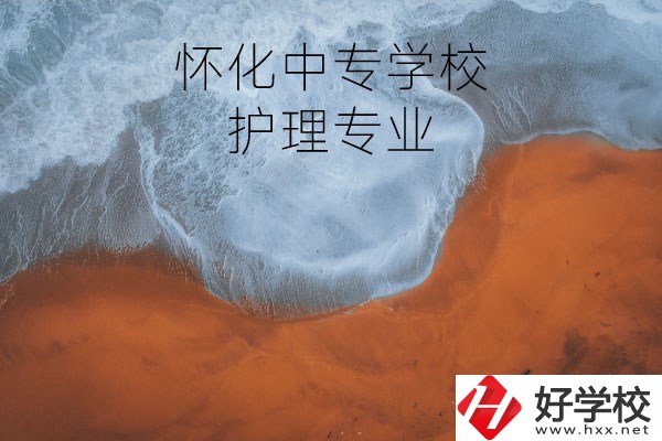 懷化有學(xué)護(hù)理專業(yè)的中專學(xué)校嗎？