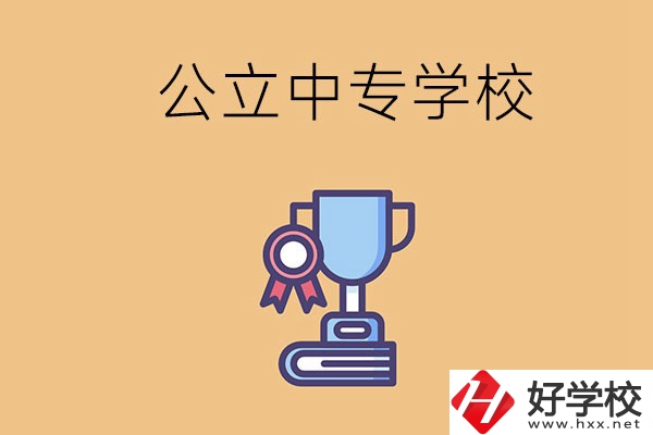 常德的公立中專學(xué)校有哪些？有什么特色？