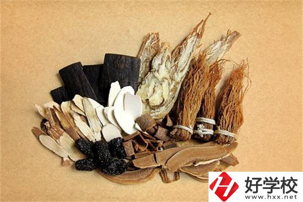 在湘西學(xué)中草藥栽培怎么樣？開設(shè)此專業(yè)的學(xué)校有哪些？