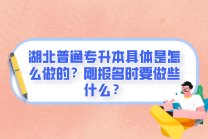 湖北普通專升本具體是怎么做的？剛報名時要做些什么？