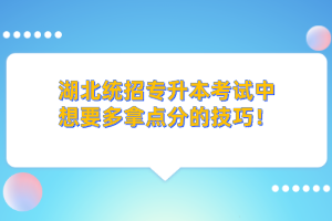 湖北統(tǒng)招專升本的學歷和本科學歷考公務員一樣嗎？