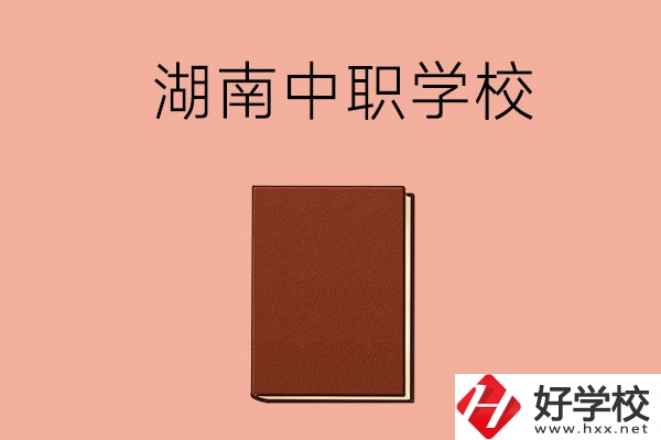 湖南有哪些就業(yè)率比較高的中職學(xué)校？