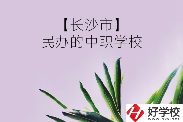 長沙市有哪些民辦的中職學(xué)校？