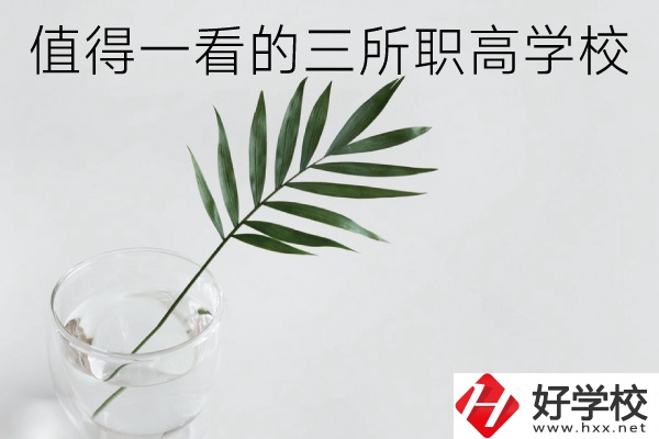 湖南有什么好的職高學(xué)校？這3所學(xué)校值得一看！